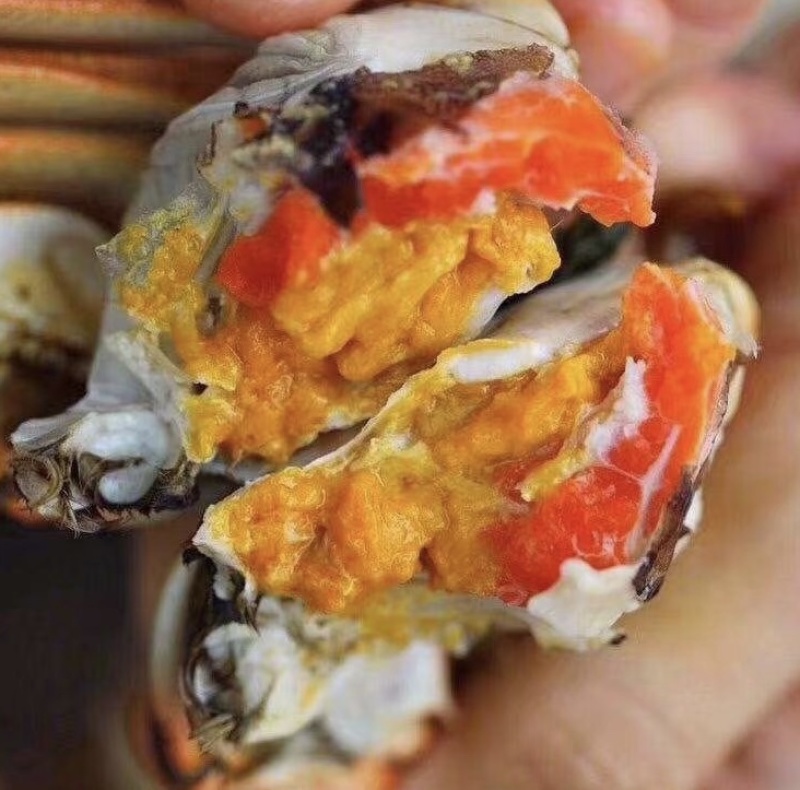 六月黄蟹肥度好盘锦产地直发肥度好满黄每天现货供应