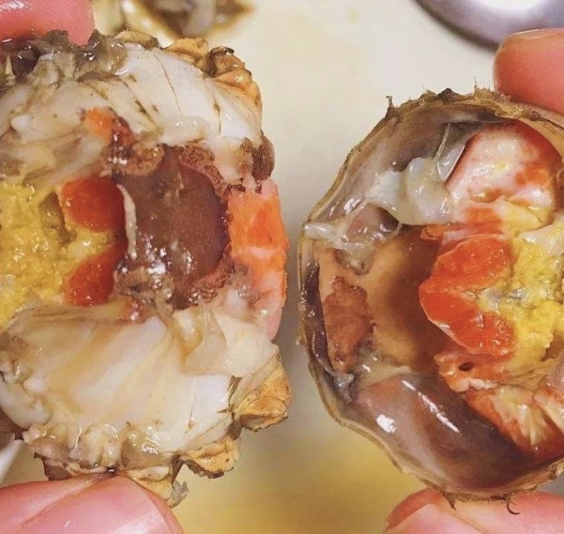 六月黄蟹肥度好盘锦产地直发肥度好满黄每天现货供应