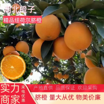 【橙子】湖北脐橙纽荷尔长虹果面光滑干净口感细腻全国代发