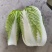 精品黄心白菜河北大白菜黄心白菜货源充足代收代发