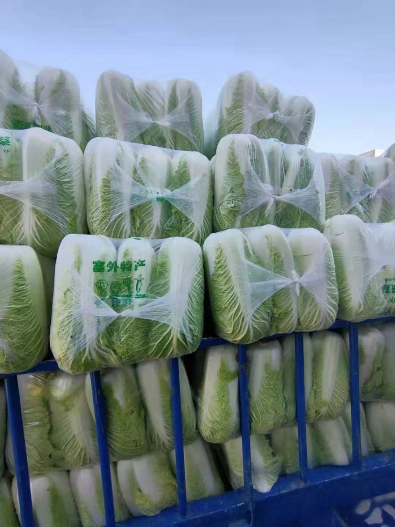 精品黄心白菜河北大白菜黄心白菜货源充足代收代发