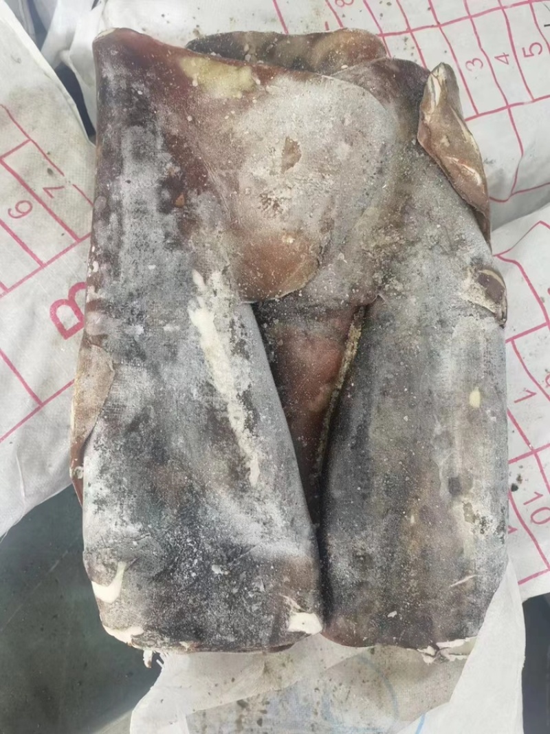秘录鱿鱼大鱿鱼秘录酮体秘录鱿鱼大秘录鱿鱼丝