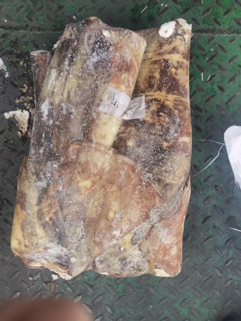 秘录鱿鱼大鱿鱼秘录酮体秘录鱿鱼大秘录鱿鱼丝
