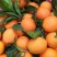 橙子🍊喝长江水长大的橙子🍊