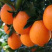 橙子🍊喝长江水长大的橙子🍊