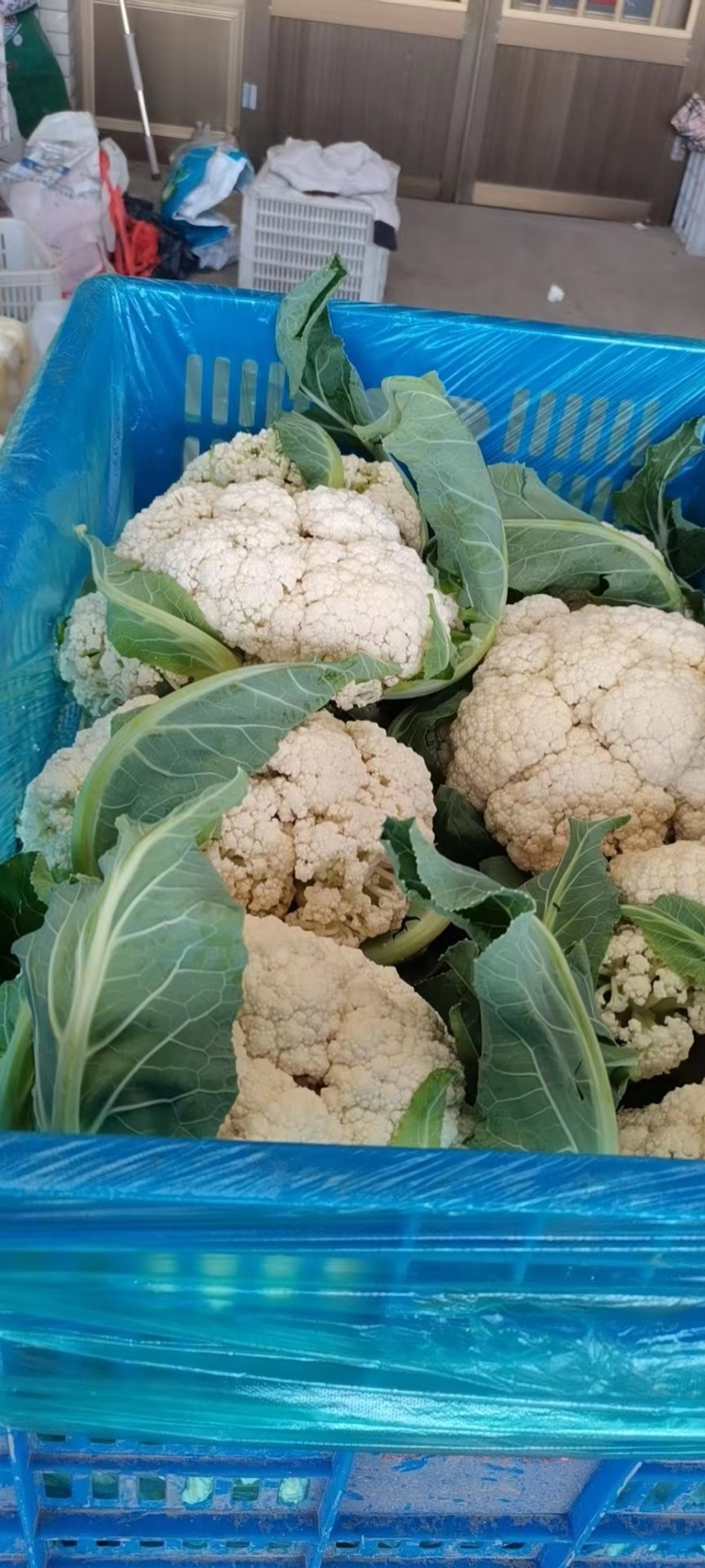 精品有机菜花，产地发货，超市，平台，市场档口，脱水厂