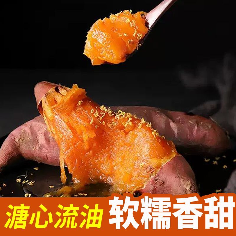 【精选】烟薯质量保证基地货源价格实惠公道欢迎前来咨询