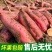 【精选】烟薯质量保证基地货源价格实惠公道欢迎前来咨询