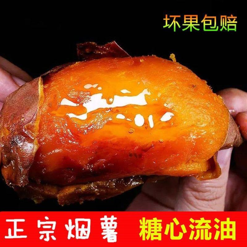 【精选】烟薯质量保证基地货源价格实惠公道欢迎前来咨询