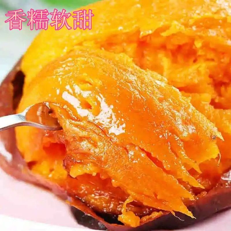 【精选】烟薯质量保证基地货源价格实惠公道欢迎前来咨询