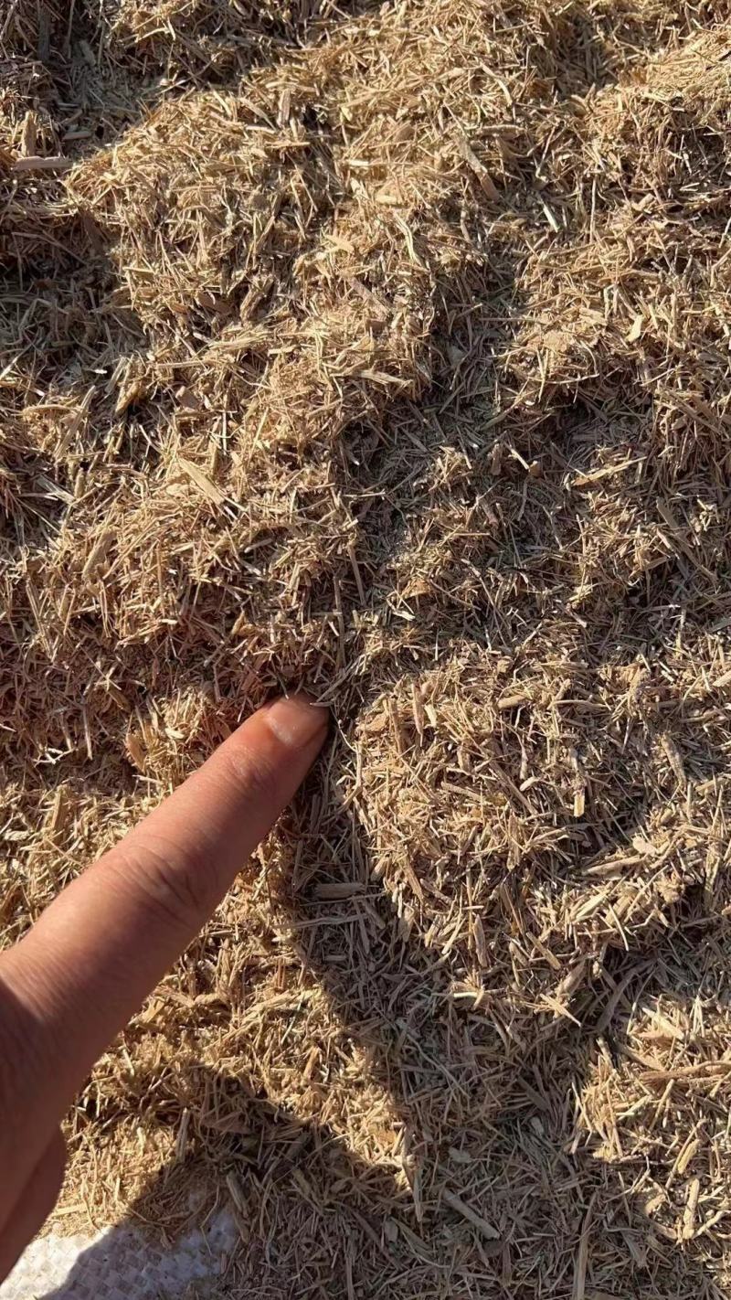 甘蔗渣