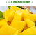 大青芒金煌芒当季新鲜芒果电商一件代发3斤