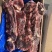 379牛脖骨特价，14000元一吨带肉高
