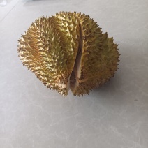 榴莲