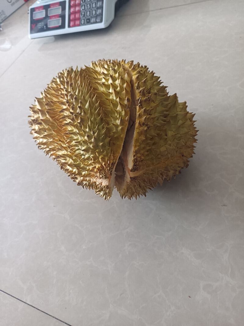 榴莲