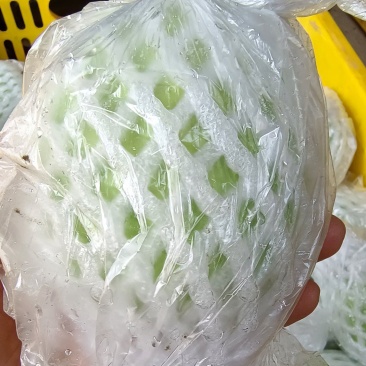 红心芭乐番石榴原产地大量批发