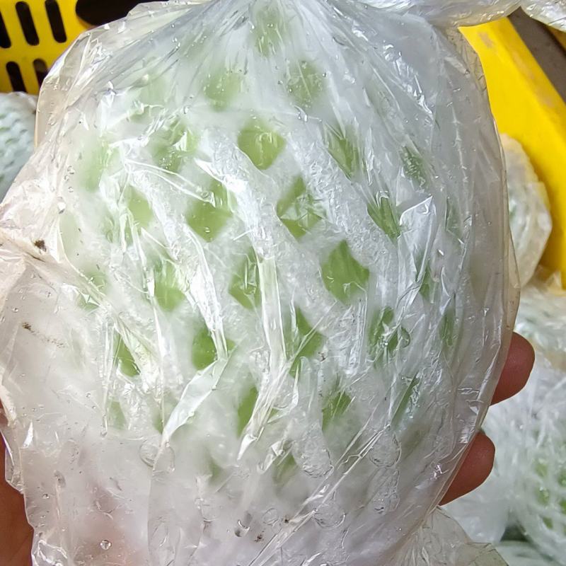 红心芭乐番石榴原产地大量批发