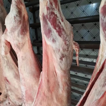 鲜羊肉冻羊肉大量有货纯干不注水不调理