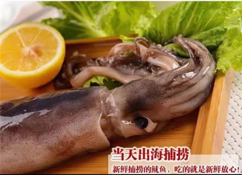 【推荐】鱿鱼，诚信经营，肉质口感好，价格美丽