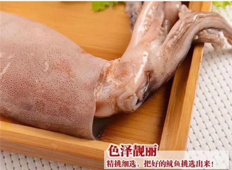 【推荐】鱿鱼，诚信经营，肉质口感好，价格美丽