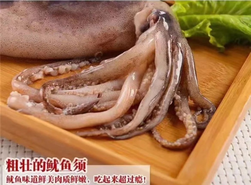 【推荐】鱿鱼，诚信经营，肉质口感好，价格美丽