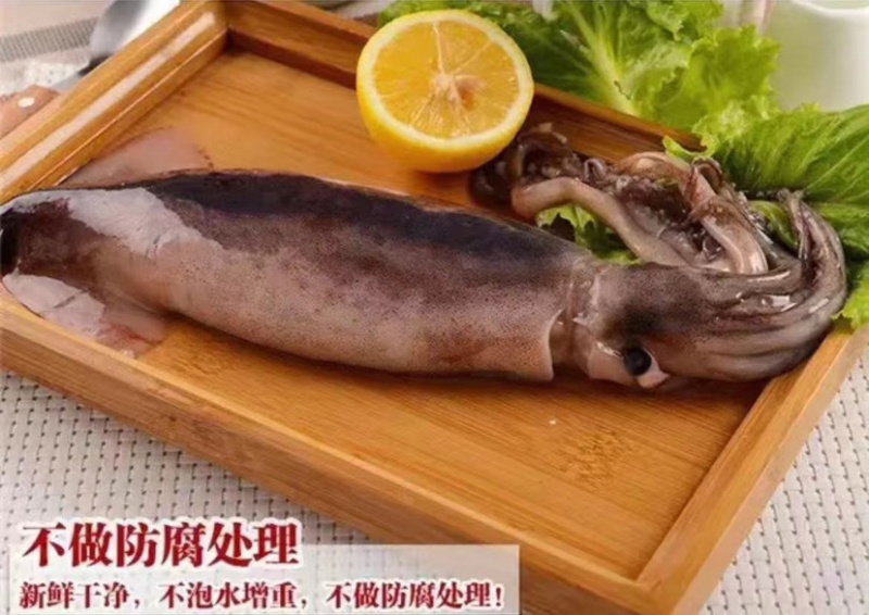 【推荐】鱿鱼，诚信经营，肉质口感好，价格美丽