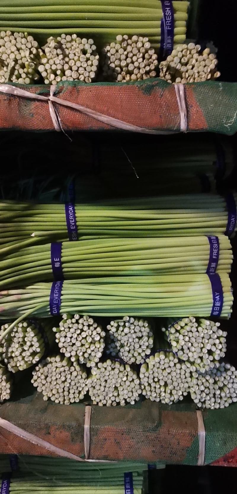 河南大蒜，蒜苔