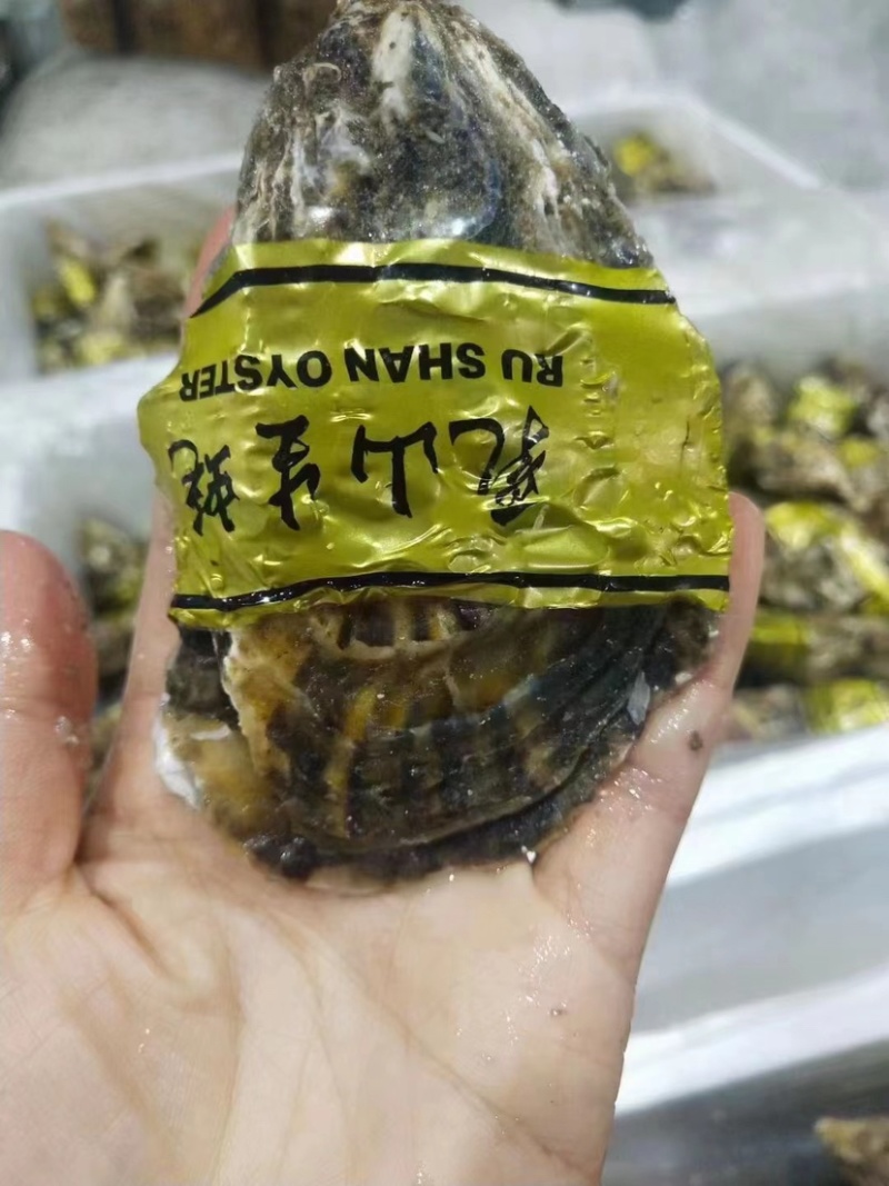 生蚝产地发货，价格美丽，欢迎合作