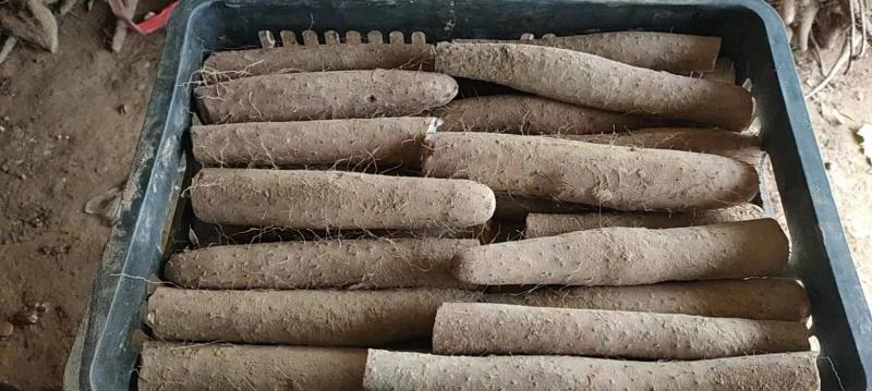 白玉咕噜，电商货