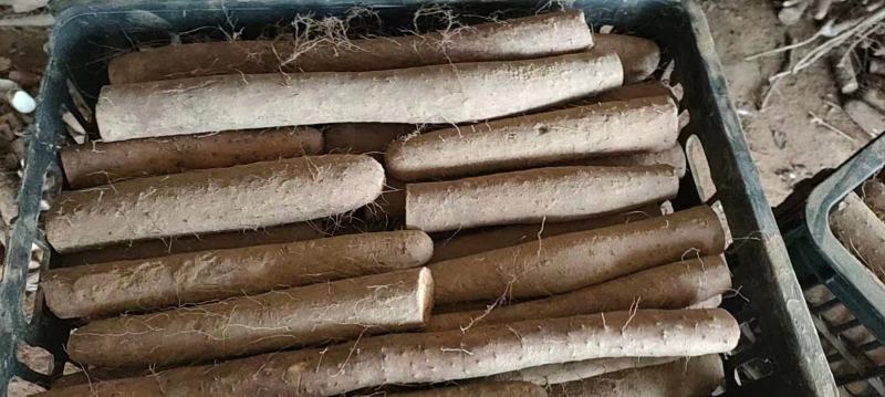白玉咕噜，电商货