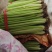 精品优质西芹，大棚蔬菜五指粗细，量大，质量保证