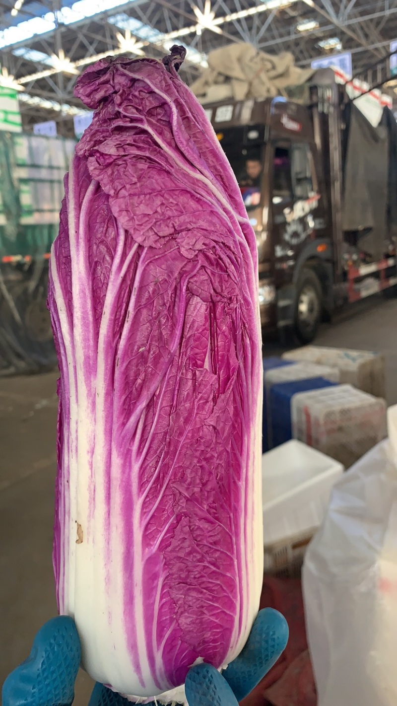 精装套菜蔬菜礼盒各种精装套菜