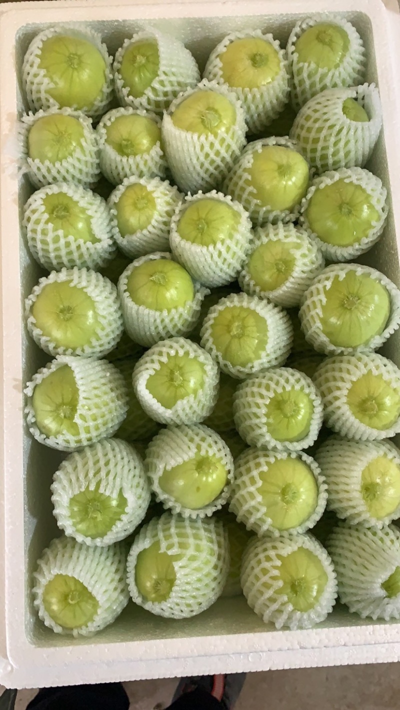 精装套菜蔬菜礼盒各种精装套菜