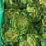 精装套菜蔬菜礼盒各种精装套菜