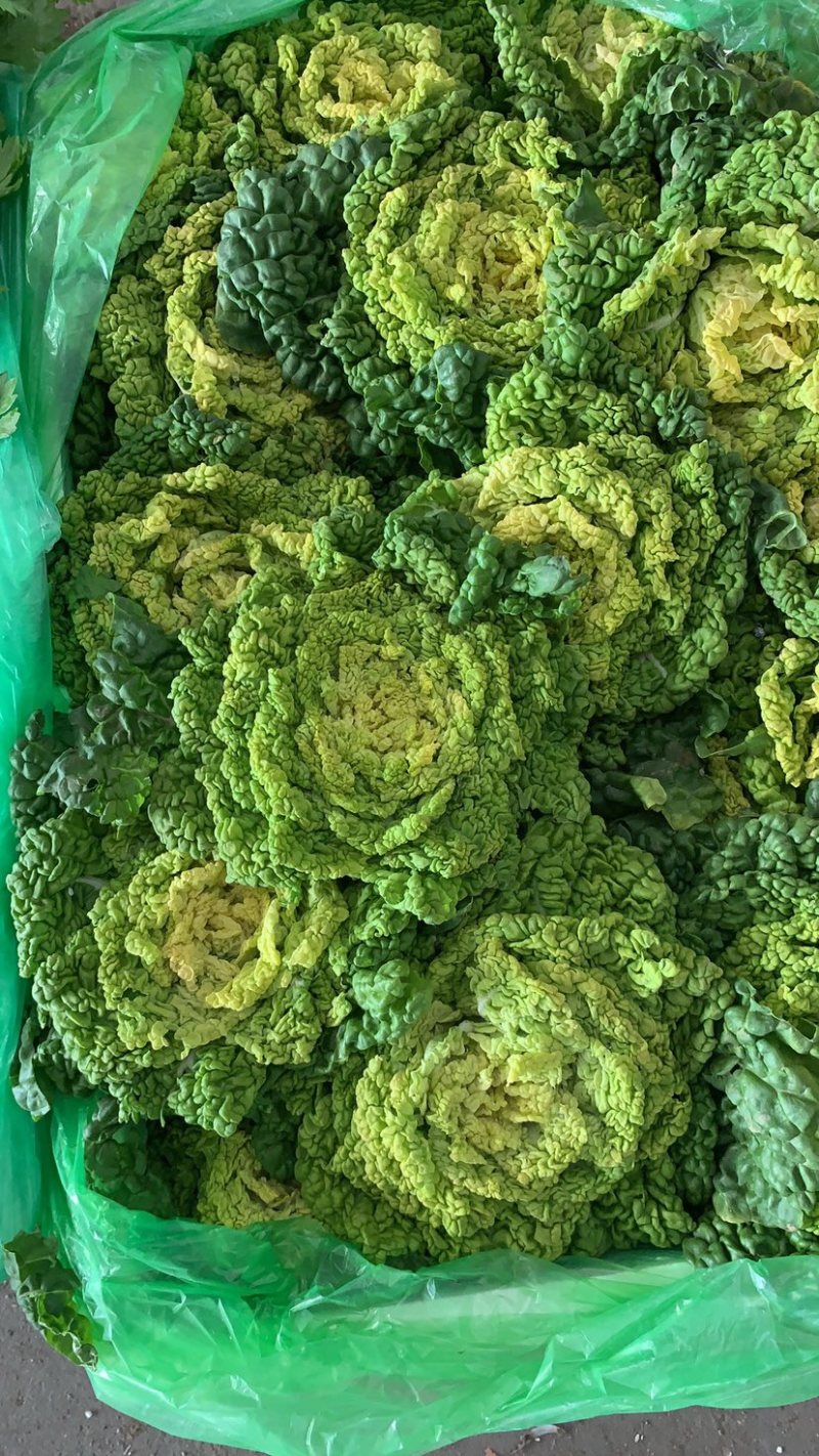 精装套菜蔬菜礼盒各种精装套菜