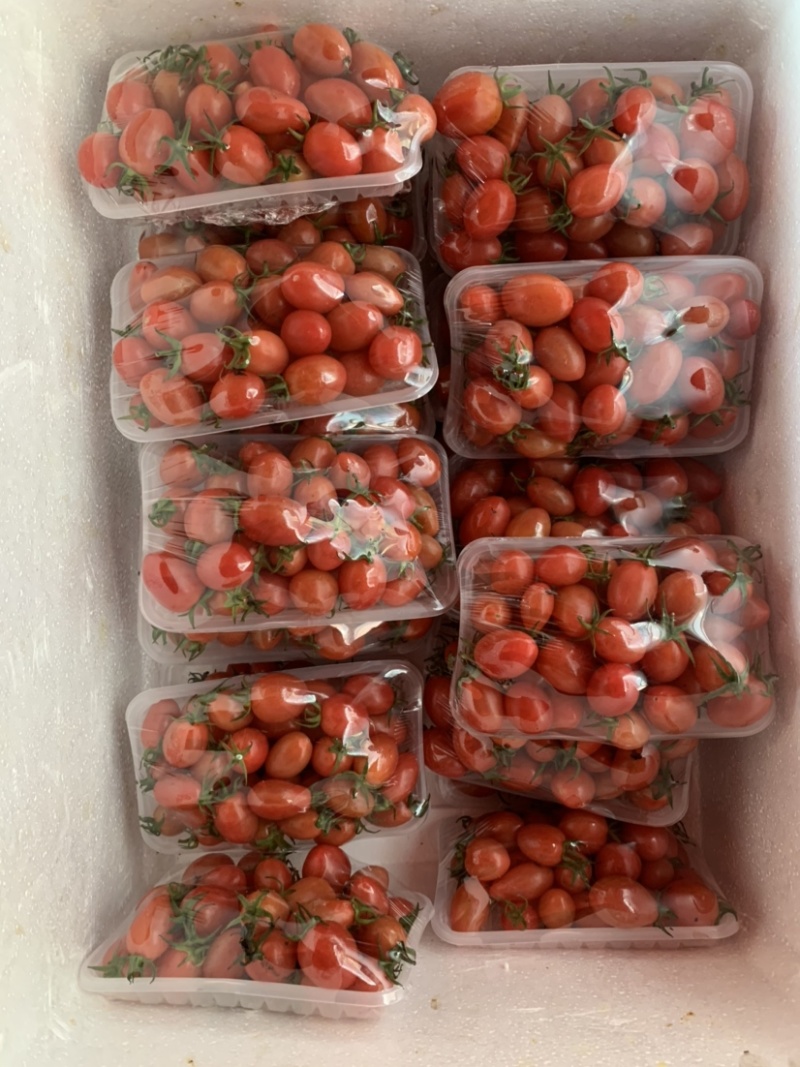 精装套菜蔬菜礼盒各种精装套菜