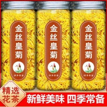 金丝黄菊金丝皇菊一泡一朵1件也包邮今年新品新菊花