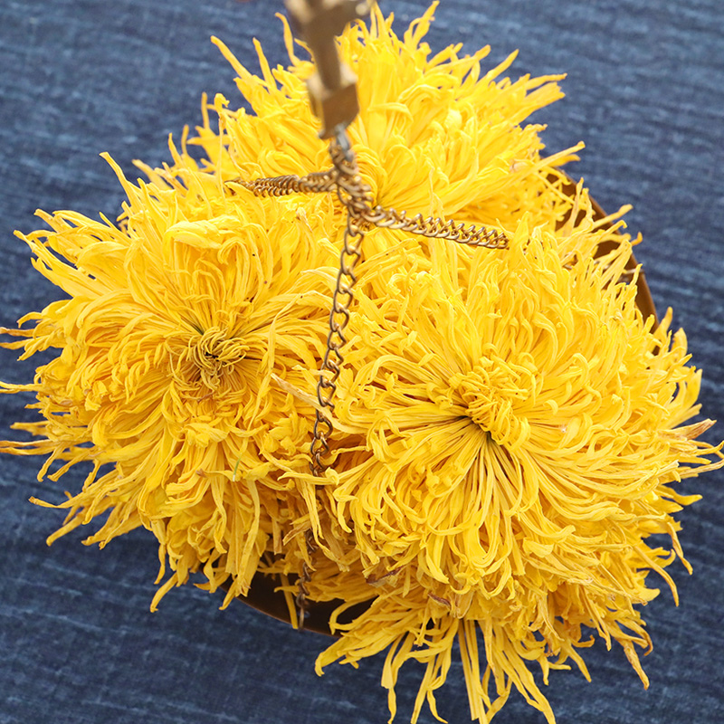 金丝黄菊金丝皇菊一泡一朵1件也包邮今年新品新菊花