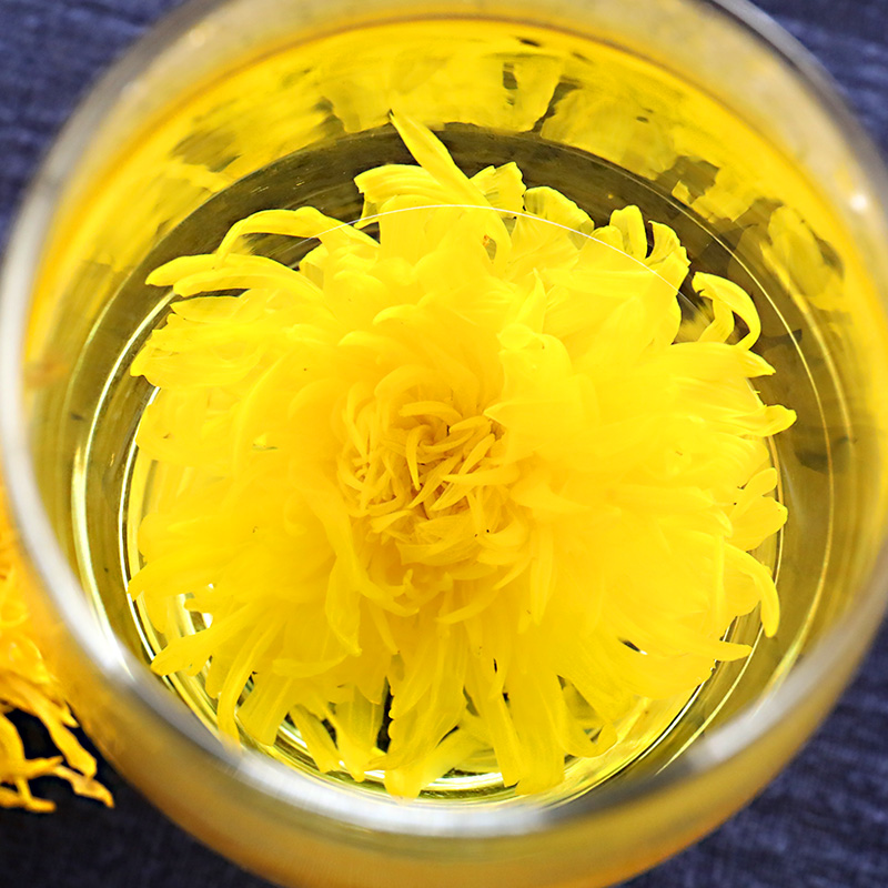 金丝黄菊金丝皇菊一泡一朵1件也包邮今年新品新菊花