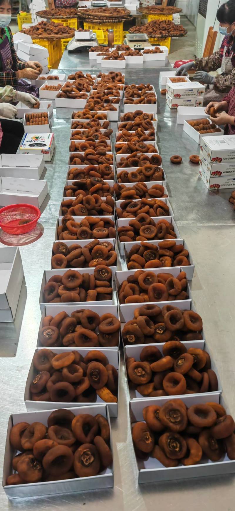 出口柿饼美国泰国越南中国柿饼直发优质广西桂林柿饼原生态