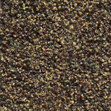 厂家批发螺蛳肉小田螺肉干净无沙螺丝肉鲜活冷冻板20斤
