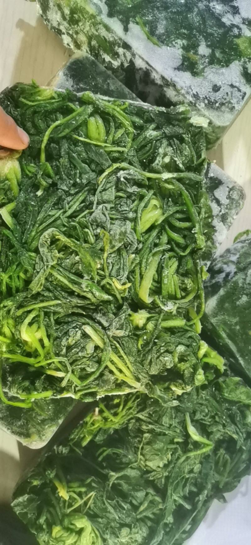 速冻荠菜，荠菜，地菜干净，无黄叶，出菜率高，价格便宜！