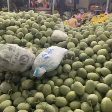 海南哈密瓜