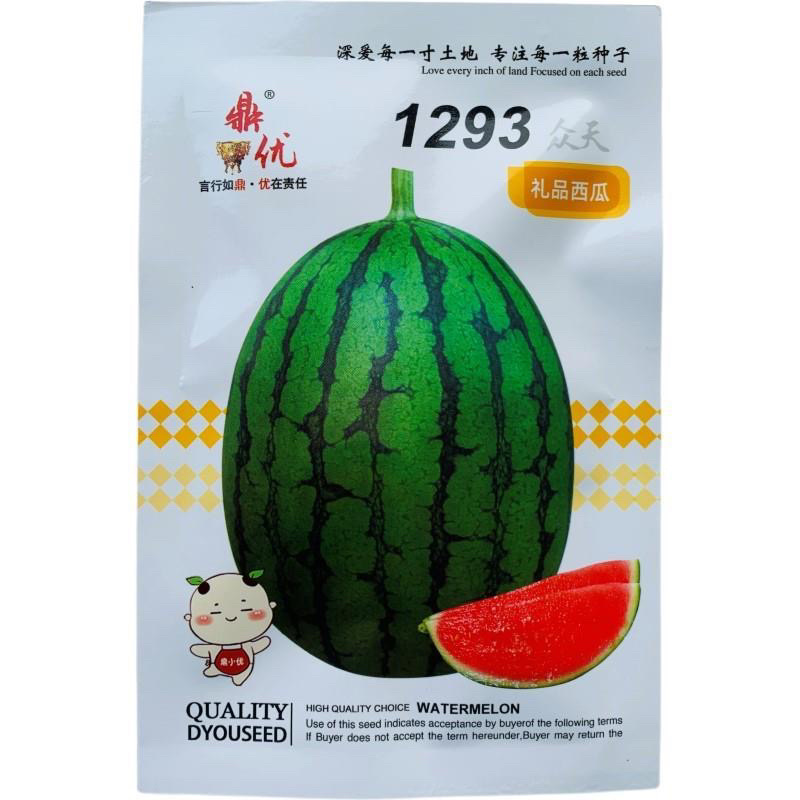 鼎优1293礼品西瓜种子红瓤杂交品种早熟种子品种