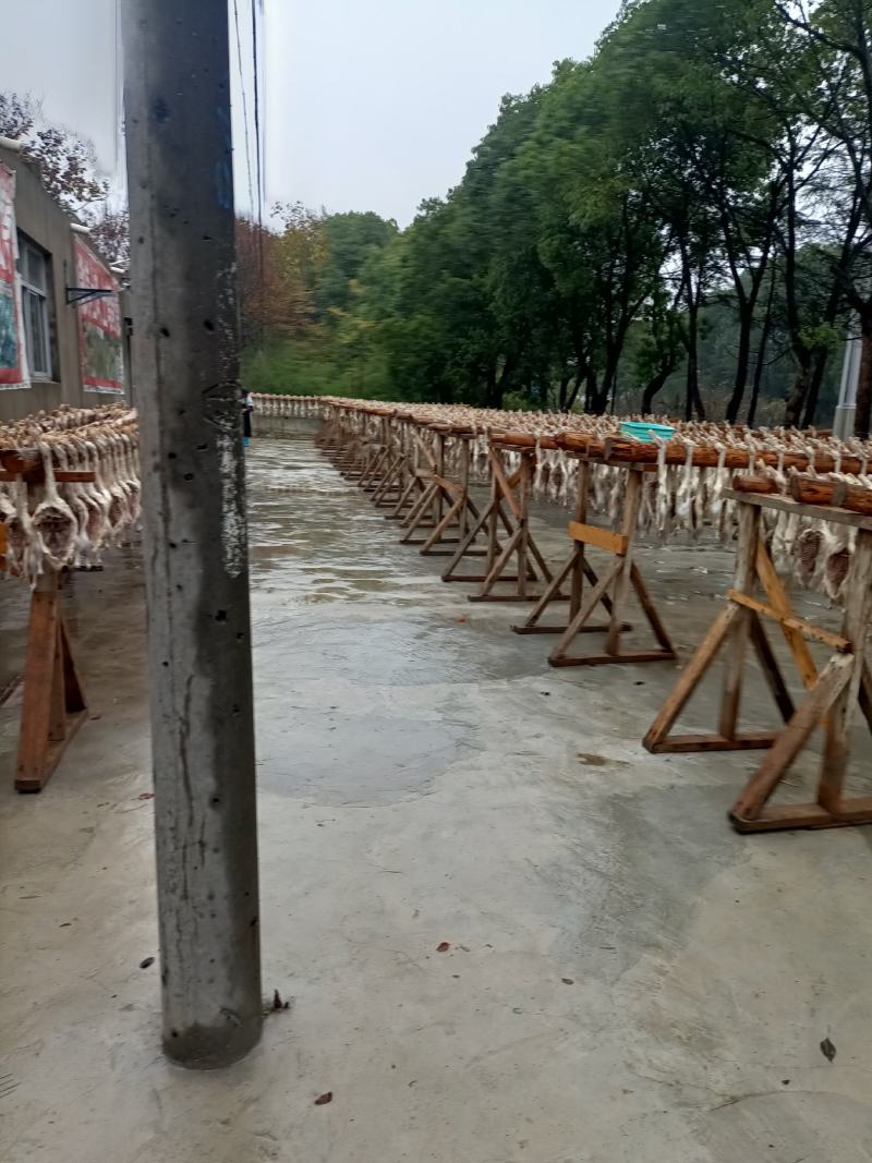 咸鸭