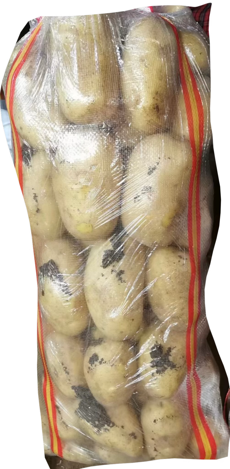 土豆黄心土豆荷兰十五大丰十v6v7长期合作长期有货