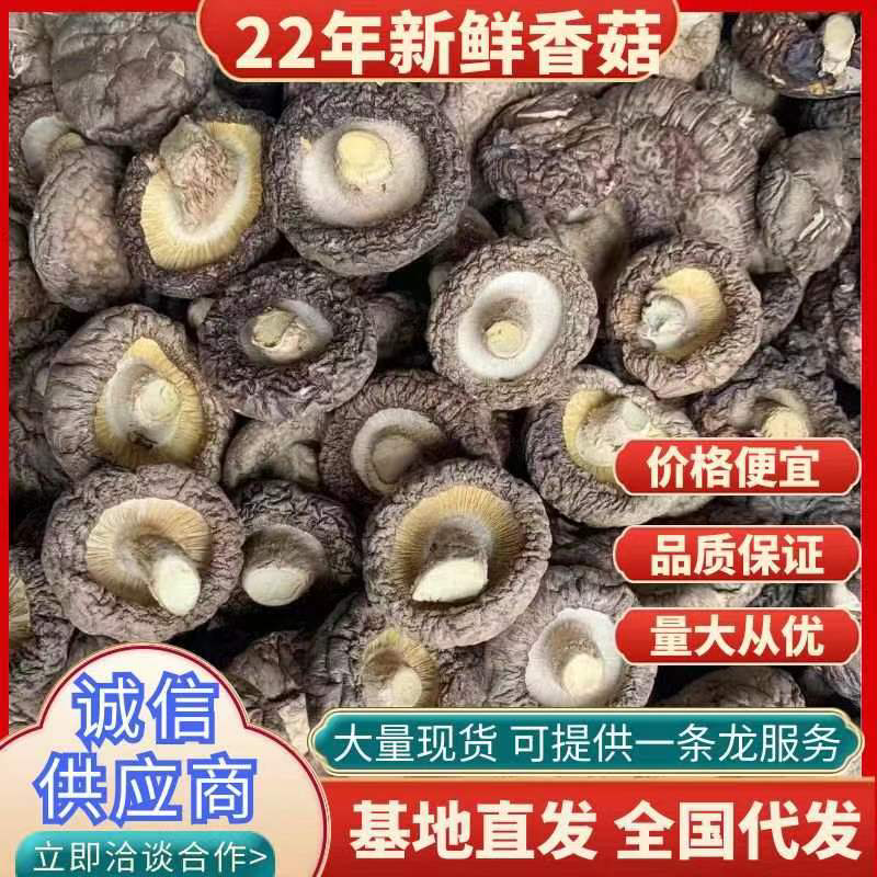 干香菇精品干香菇当季新货大小可选产地直发大量现货