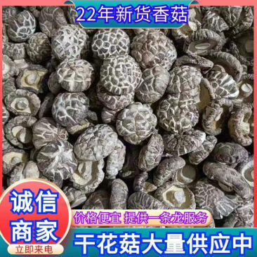 精品干茶花菇干麻花菇干香菇小香菇2—3公分3—4公分