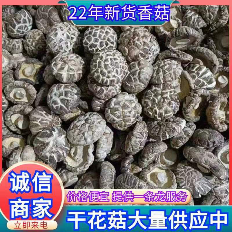 精品干茶花菇干麻花菇干香菇小香菇2—3公分3—4公分