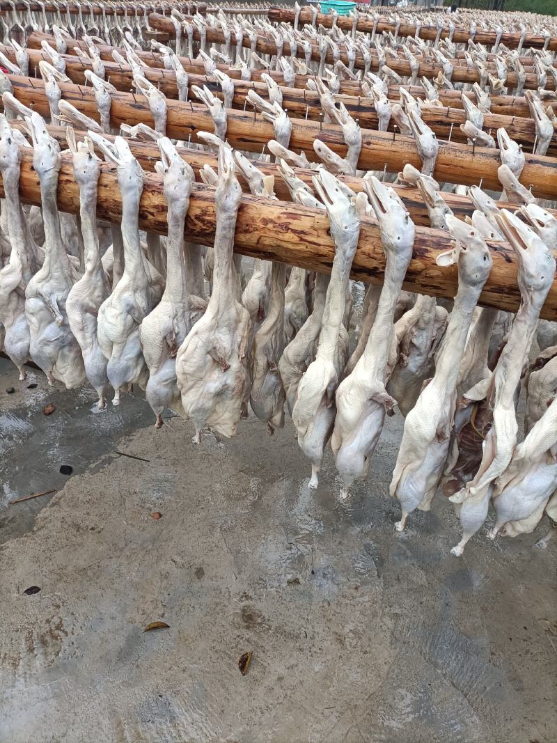 纯手工腌制的咸鸭腊鸭肉质鲜美